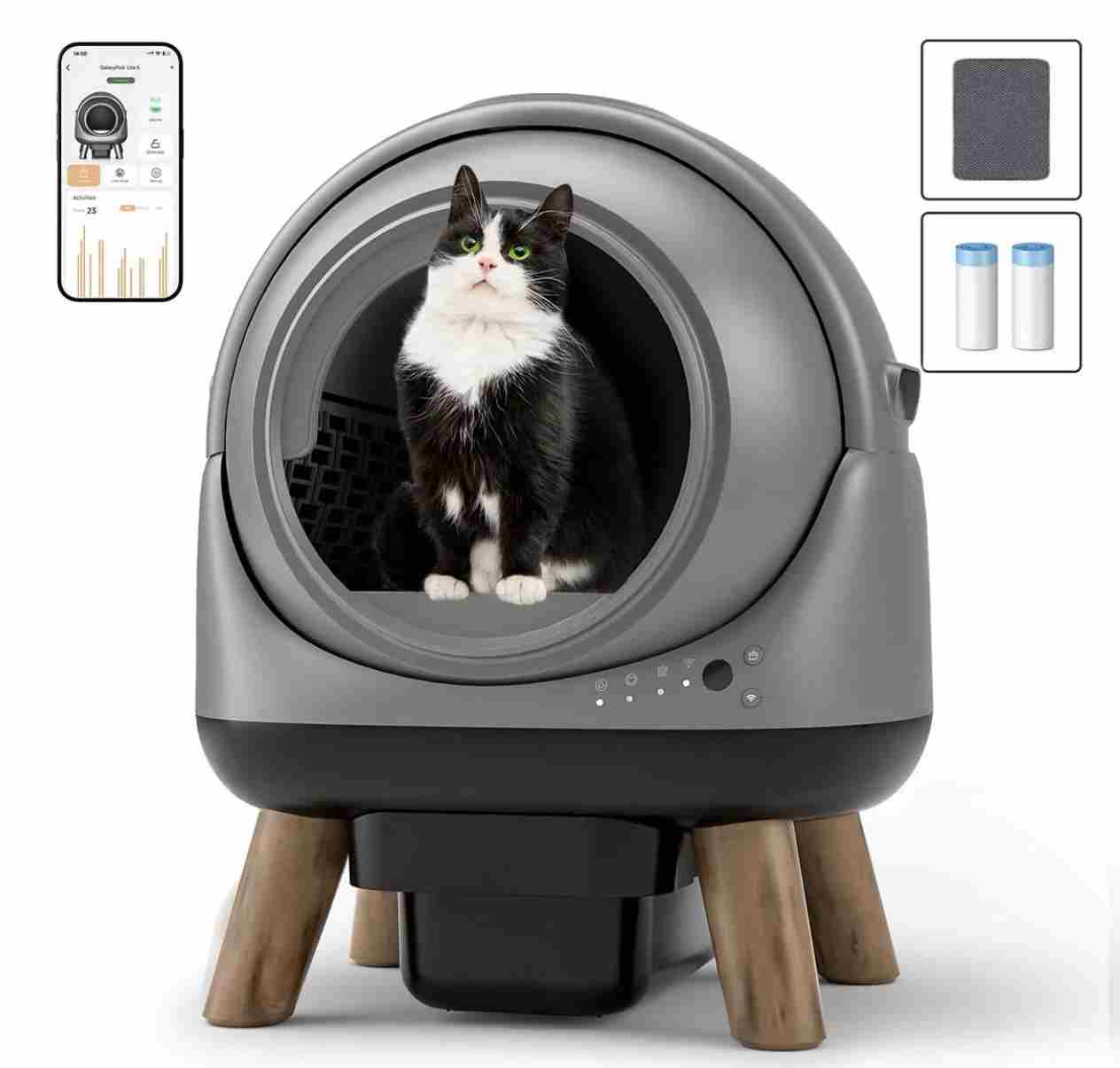 Sind automatische Katzentoiletten gut für Katzen?