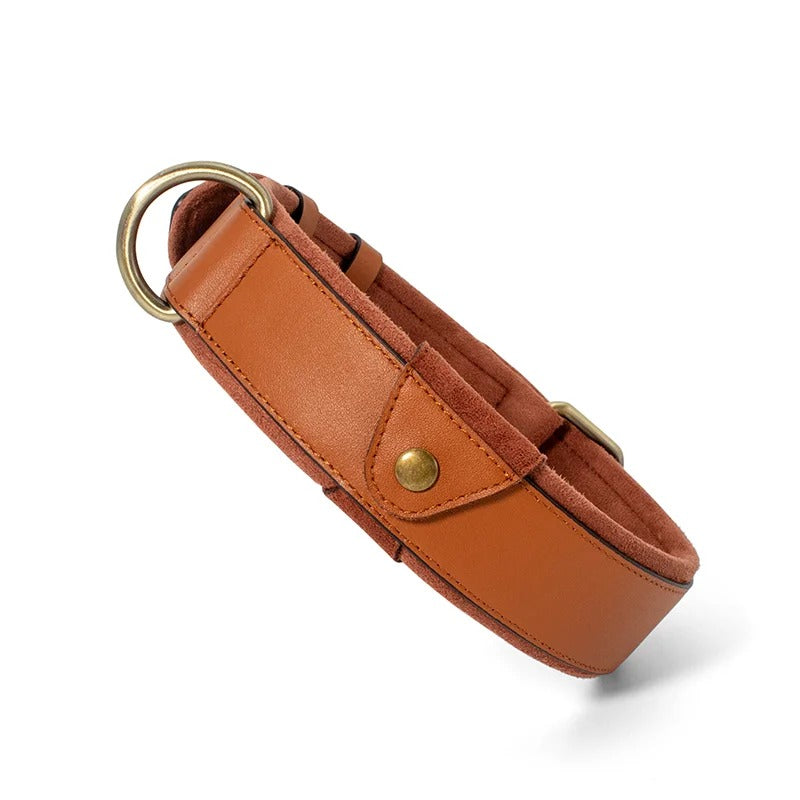Pet Anti-lost Collar