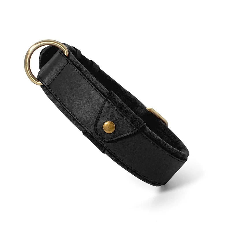 Pet Anti-lost Collar